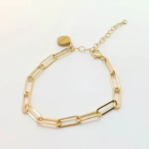 Medium Paperclip Link Bracelet